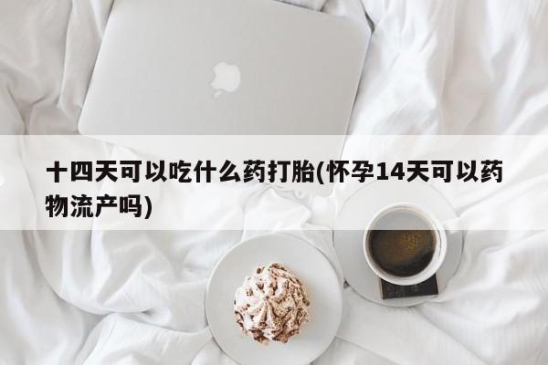 堕胎药联系微信十四天可以吃什么药打胎(怀孕14天可以药物流产吗)